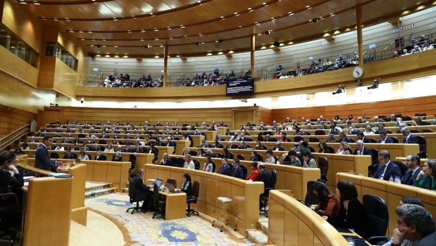 El PP también gana las elecciones al Senado en Baleares