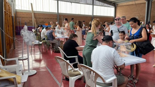 Votación en un colegio electoral de Palma.