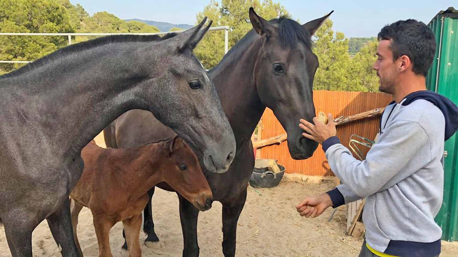 Roberto Bautista junto a sus caballos. (atptour.com)