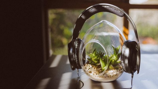 Música y plantas