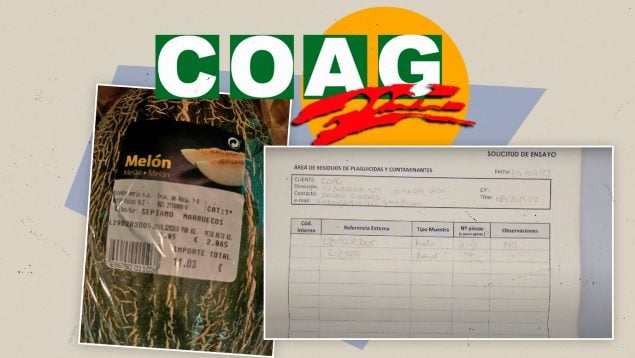 Agricultores de Almería analizan melones de Marruecos y detectan un 600% más de pesticidas de lo legal