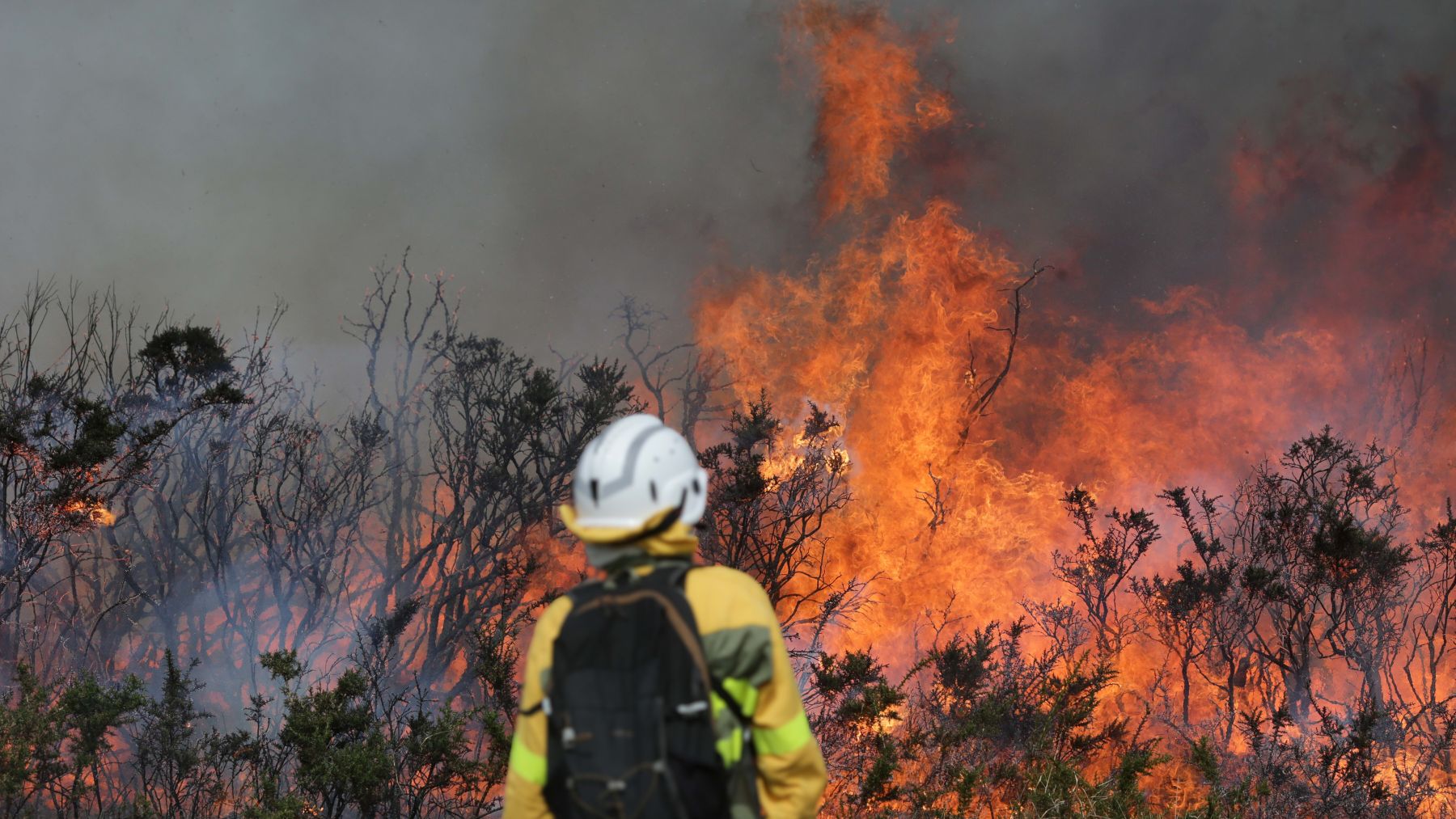 Un bombero se enfrenta a las llamas. (Carlos Castro Europa Press)