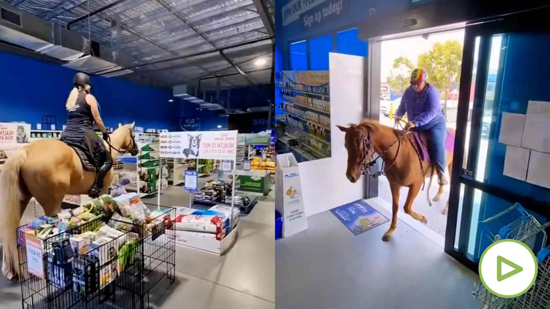 Increíble: Un hombre entra a una tienda a caballo para ver si la política  de mascotas era cierta