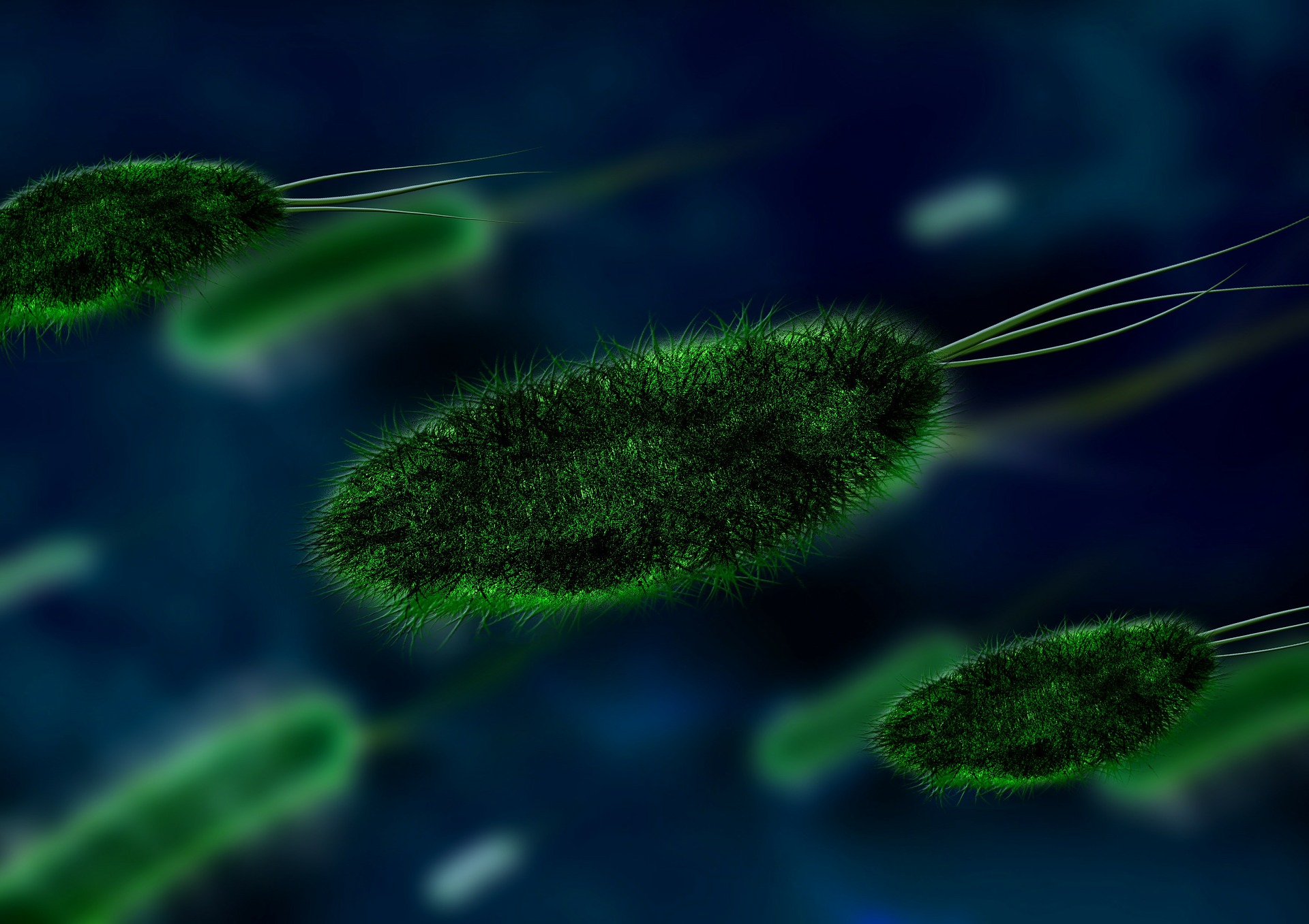 Posbióticos: qué son y en qué se diferencian de los probióticos