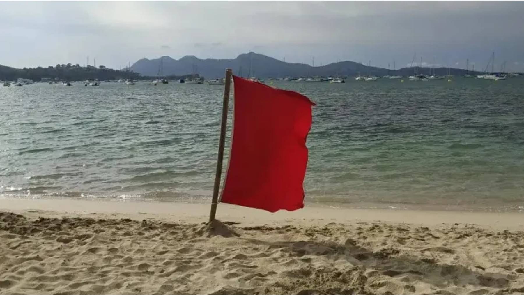 Bandera roja en la Bahía de Pollensa por vertido de aguas contaminantes.