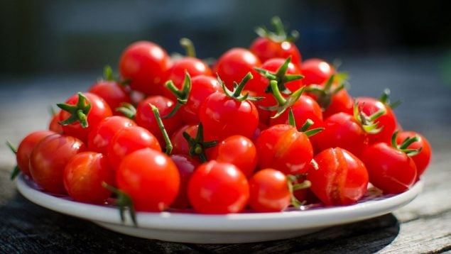 tomates Cherry