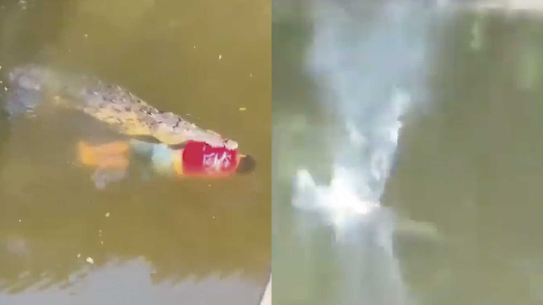 Un cocodrilo devora a un futbolista en Costa Rica.