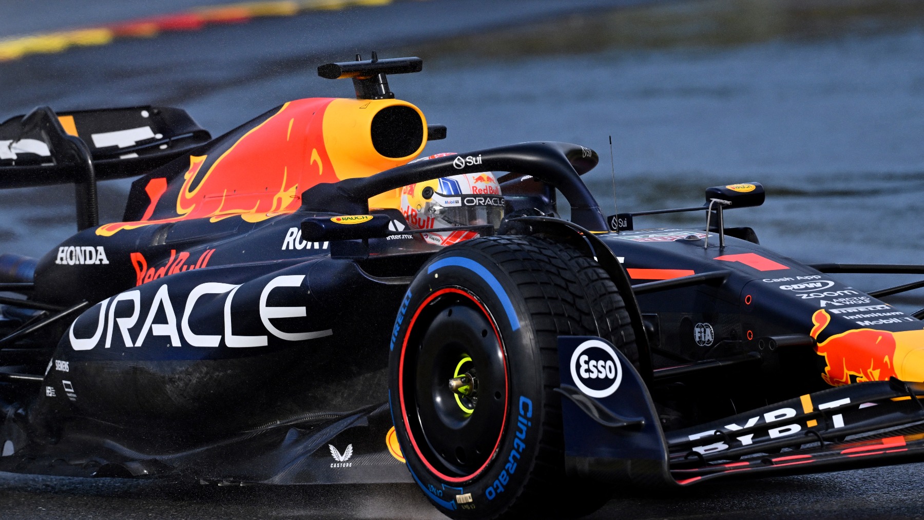 FIA Red Bull