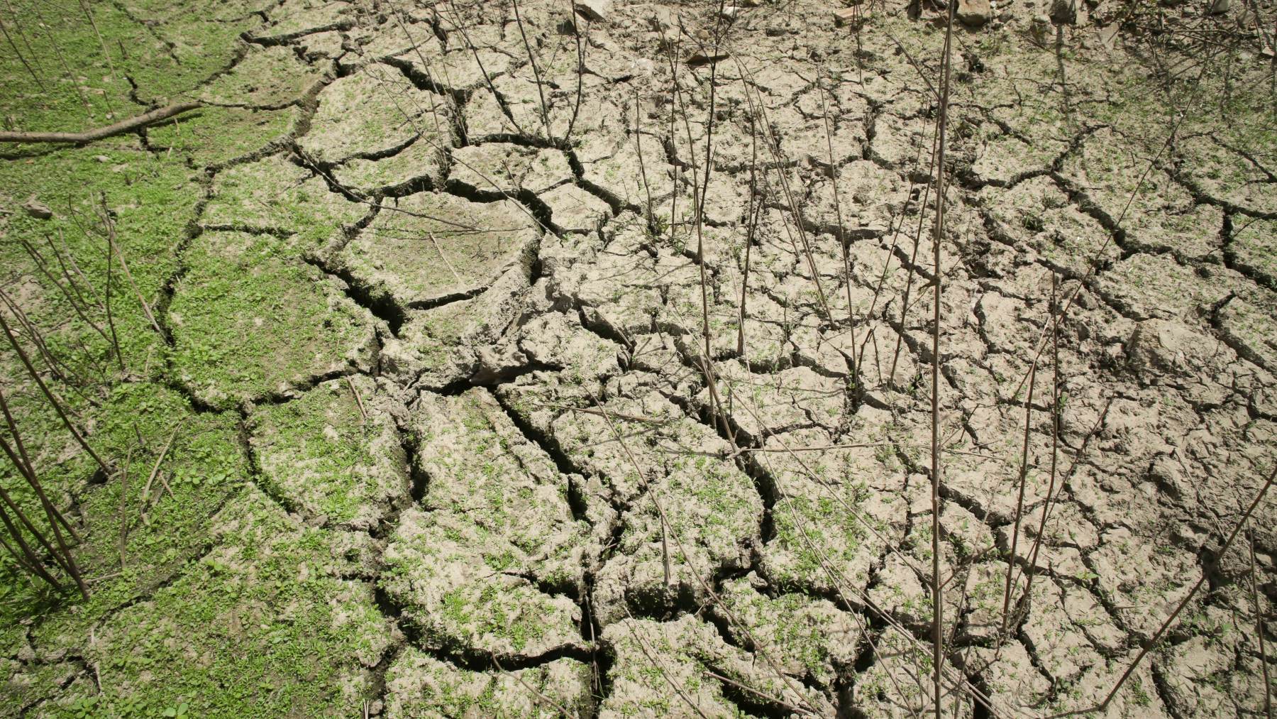 Embalse en España afectado por la sequía (EUROPA PRESS).