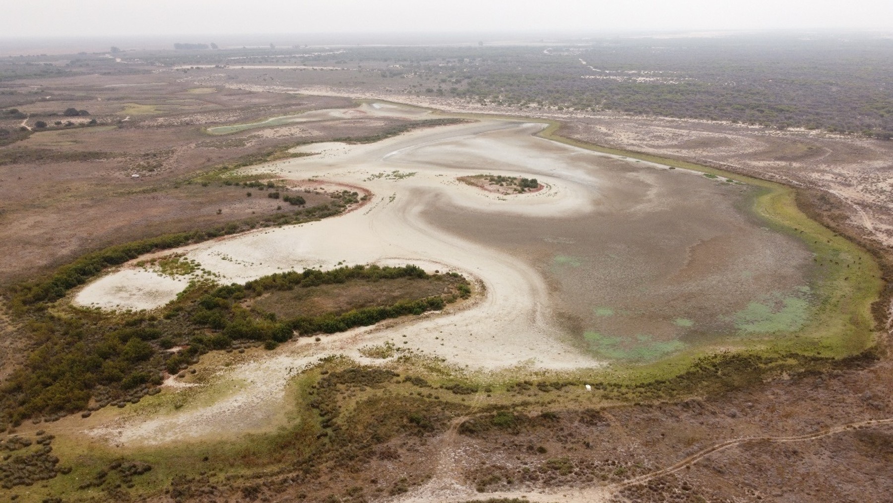 Imagen aérea de la laguna de Santa Olalla, en Doñana (CSIC).