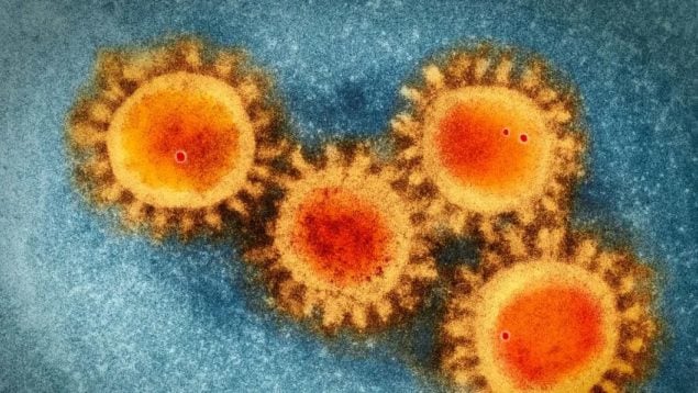 La nueva variante del coronavirus que anticipa otra pandemia: todo sobre EG.5