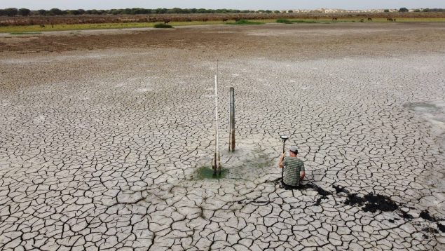 sequía Doñana
