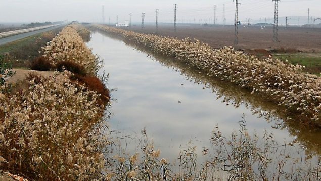 muerte canal lebrija