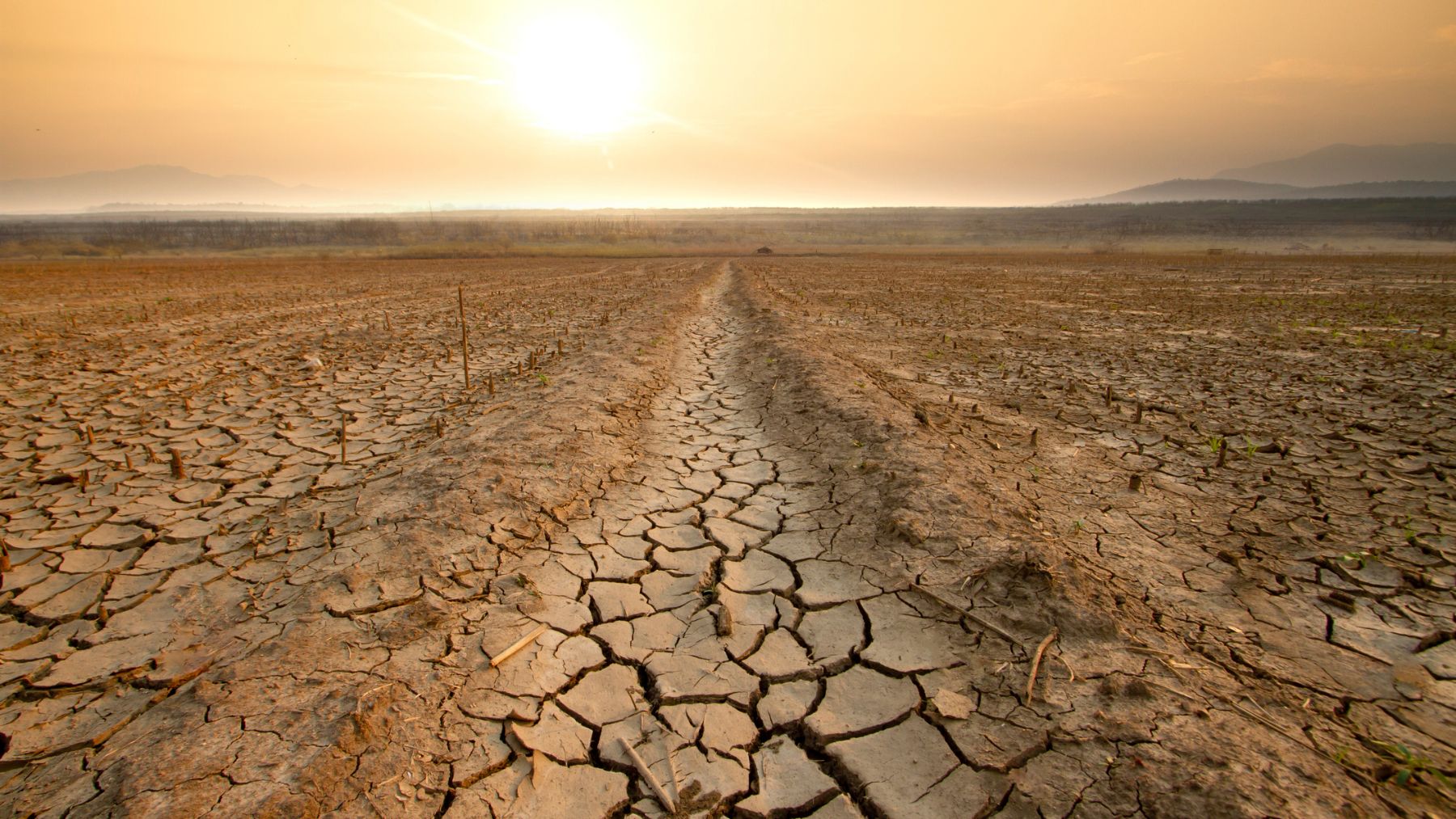 El impacto económico de la sequía en España se cifra en unos 4,6 billones de euros hasta el año 2050