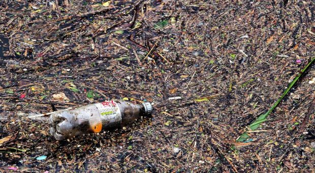 Sostenibilidad y recursos biodegradables, ¿mito o realidad?