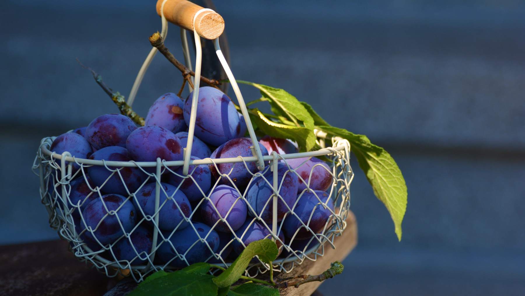 Tres recetas de ciruelas