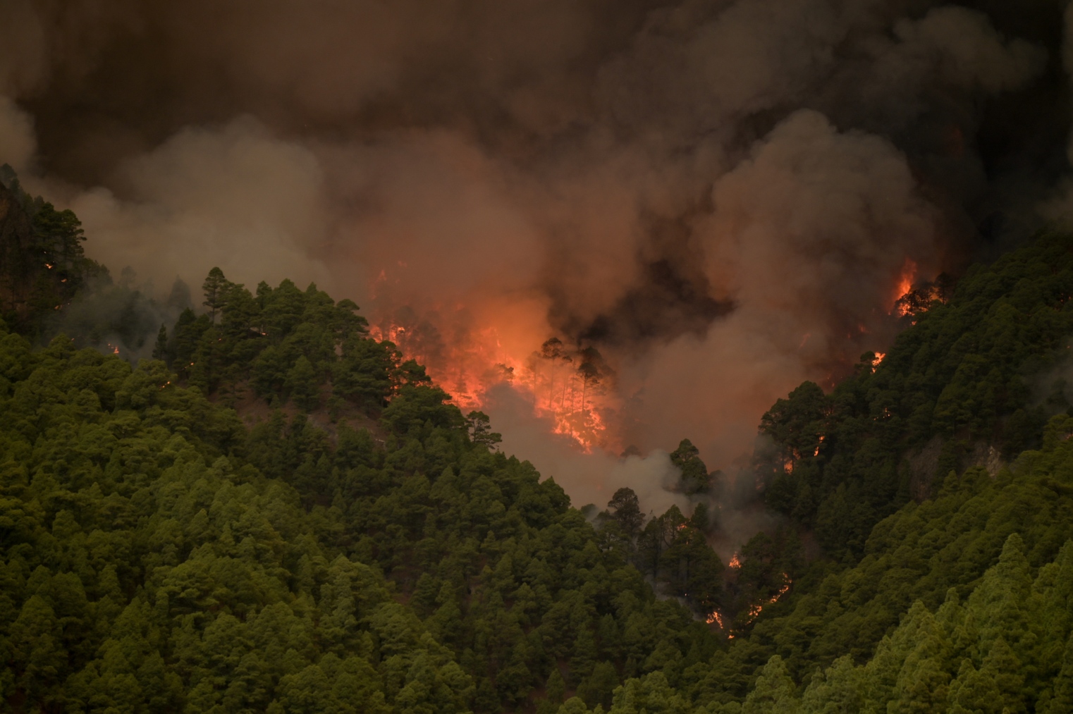 Imagen del incendio en Tenerife (Foto: Europa Press)