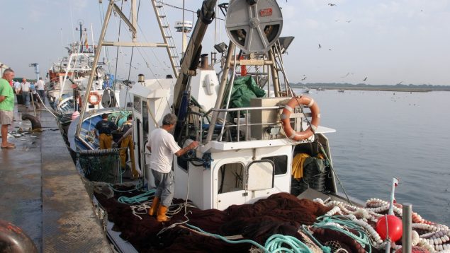 La pesca andaluza denuncia la «pantomima» de Sánchez con las ayudas tras el fin del acuerdo UE-Marruecos