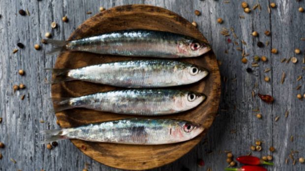 Las sardinas en recetas