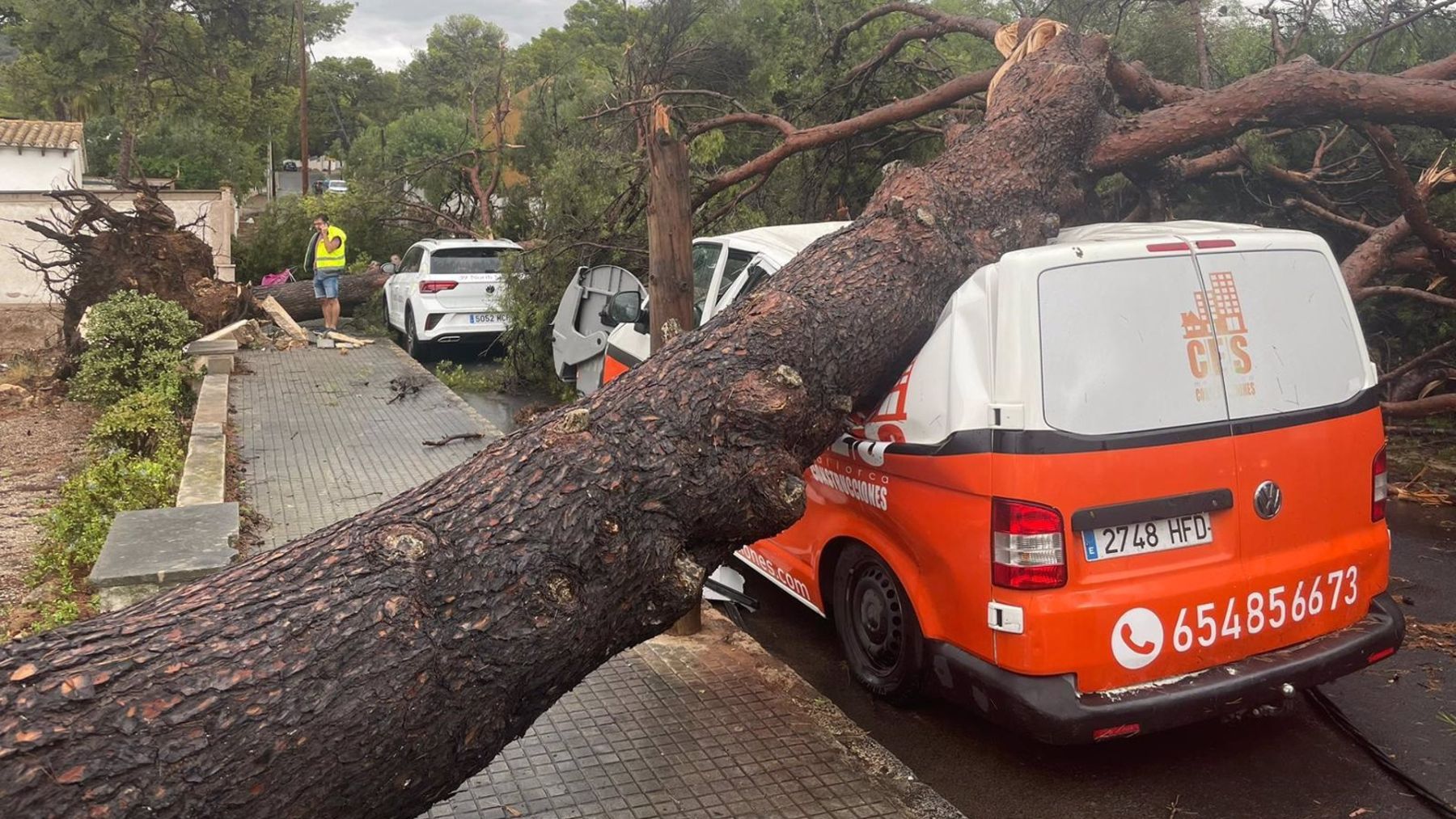 Un pino caído sobre una furgoneta en Calvià.