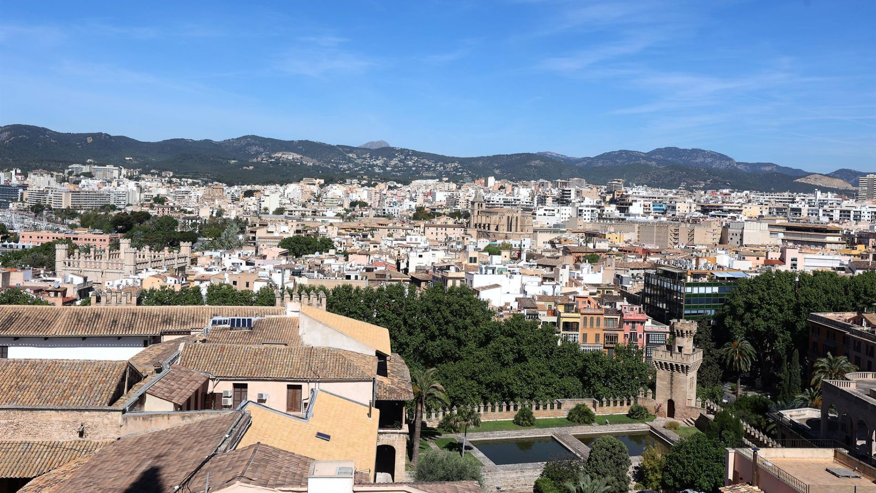 Viviendas de Palma vistas desde la Catedral.