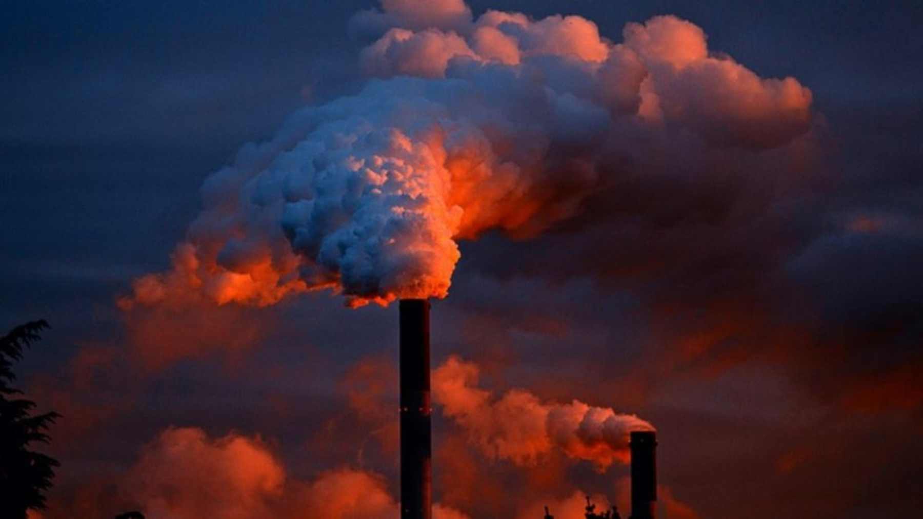 Predicen más muertes por el cambio climático durante el próximo siglo