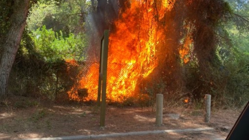 Imagen de las llamas de un incendio en El Saler, en septiembre de 2023.