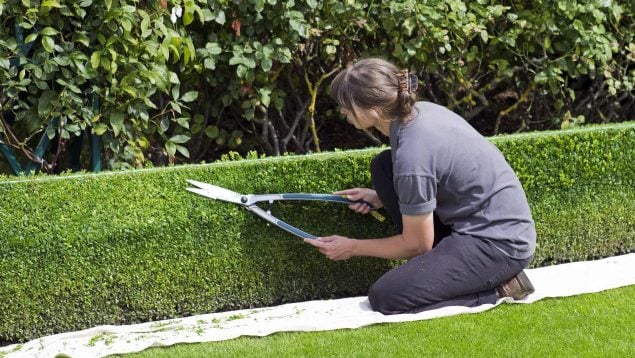 Así debes usar el cuchillo Hori Hori para tus trabajos de jardinería