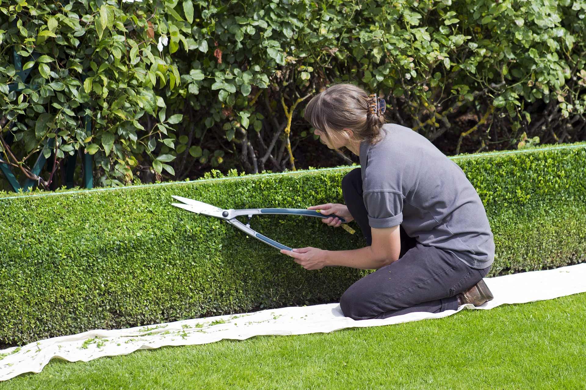 Así debes usar el cuchillo Hori Hori para tus trabajos de jardinería