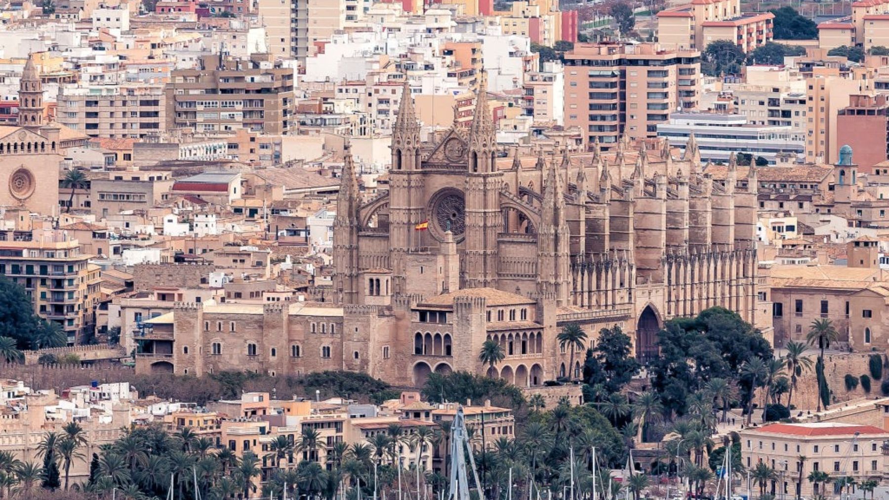 Vista general de Palma con la Catedral en primer plano.