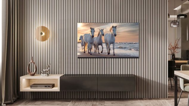 Thomson presenta en IFA su nueva generación de aparatos de TV
