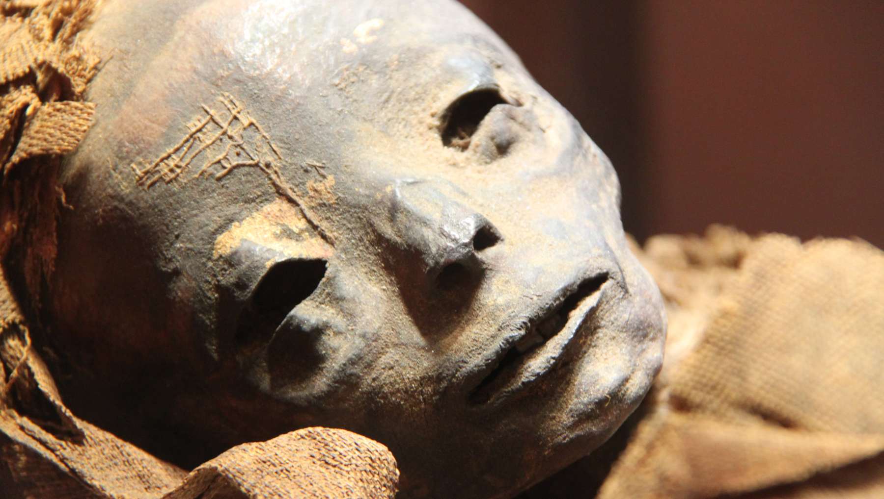 Se ha recuperado el perfume que se usaba sobre las momias egipcias