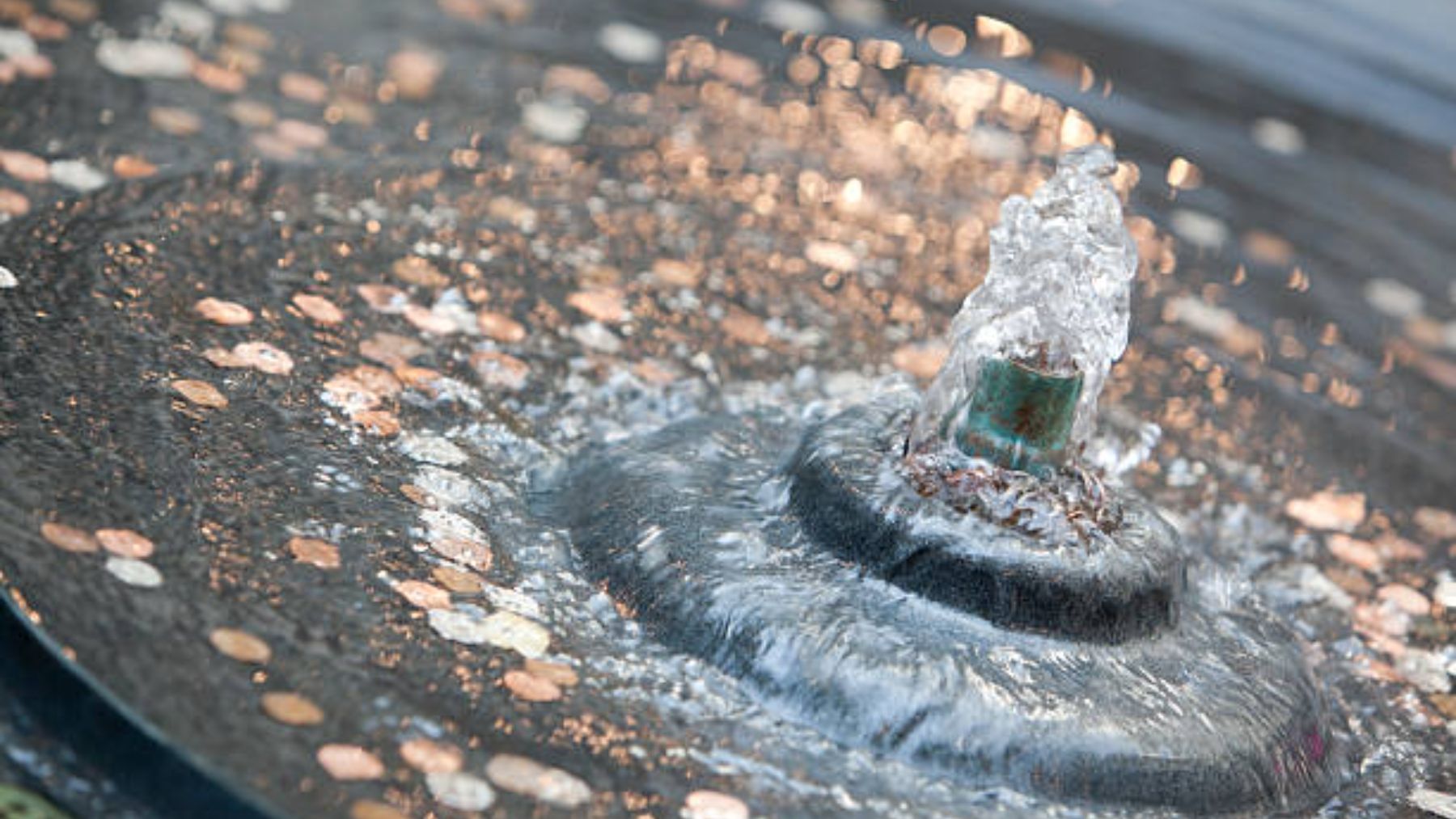 Descubre la Fontana Di Trevi que está en España