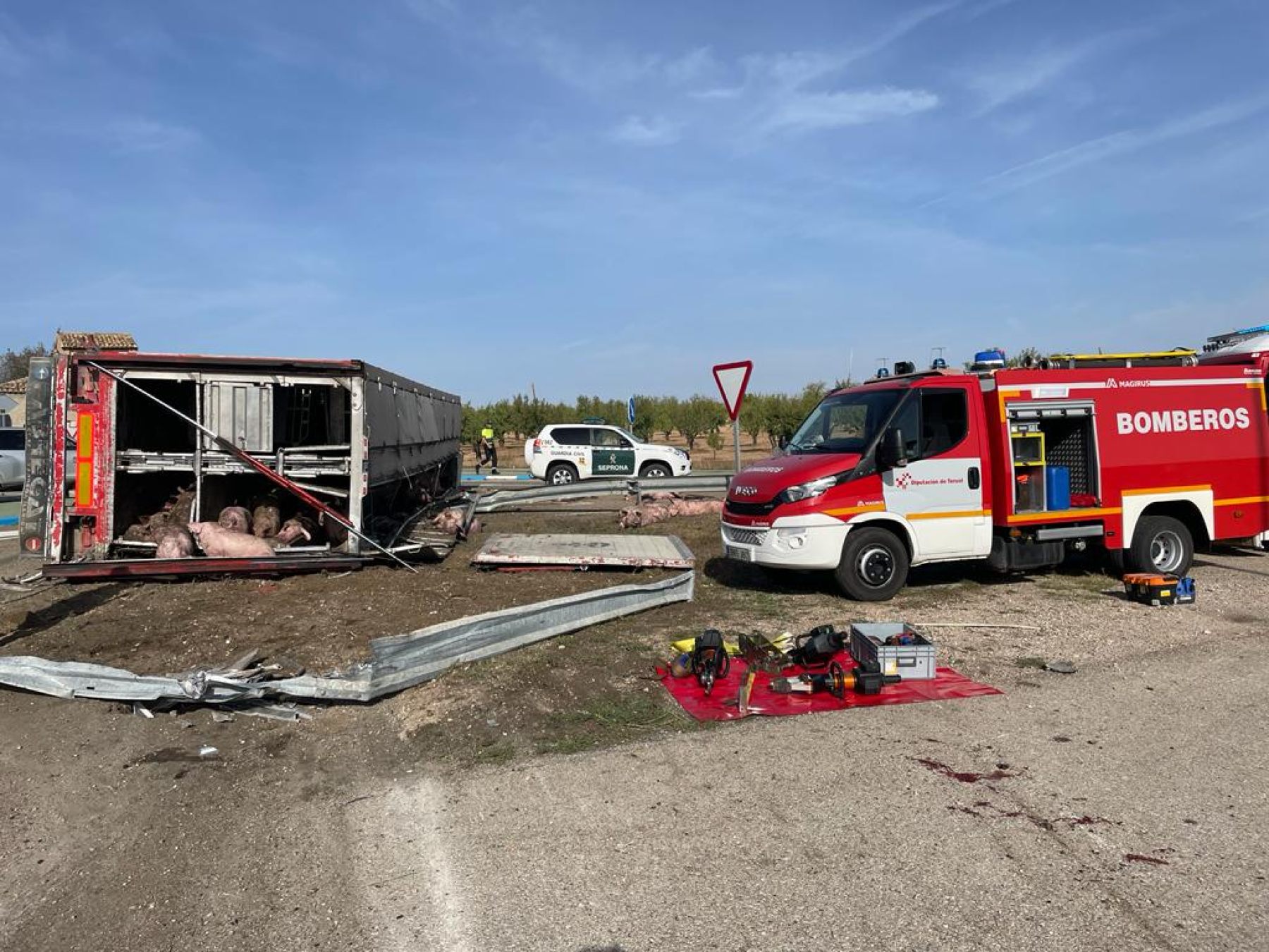 Accidente de un camión de cerdos en Teruel
