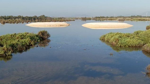 S'Albufera