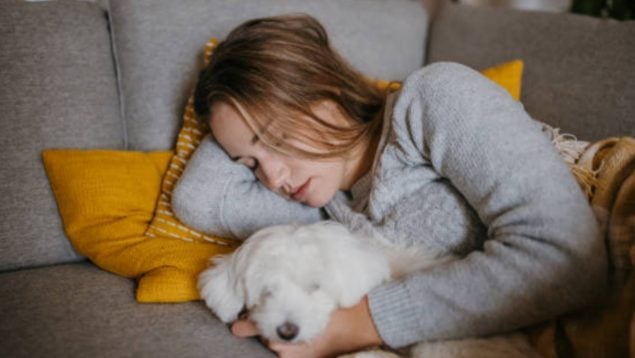 No te van a volver a molestar en la hora de la siesta. Se acabó y la ley te ampara