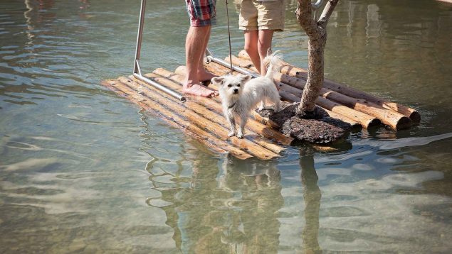 Para cruzar el río: cómo hacer una balsa con troncos