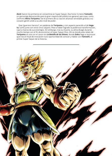 Libro Dragon Ball