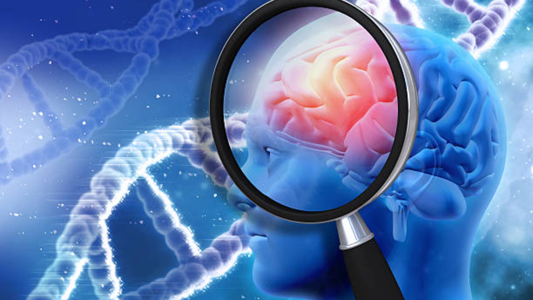 Nuevos descubrimientos sobre el alzhéimer y cómo se podría evitar