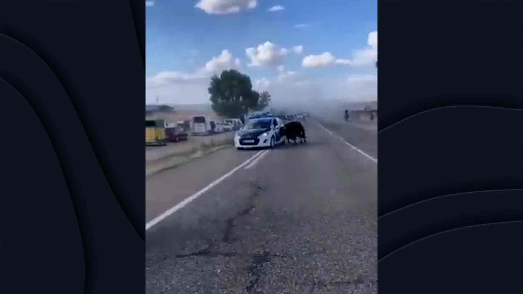 Un toro embiste un coche de la Guardia Civil