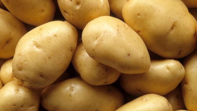 Te han engañado toda la vida: comer patata no engorda. Los expertos lo confirman