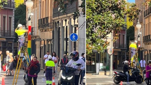 Operarios eliminan la bandera LGTBI de los semáforos de Granada.
