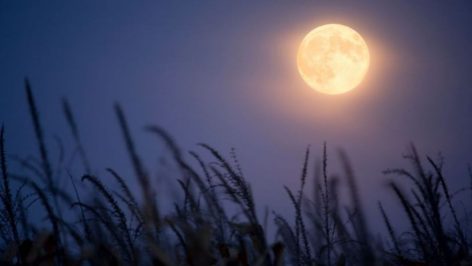 Descubre qué es y cuándo ver la luna de cosecha