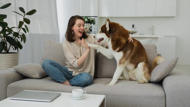 10 consejos para hacer feliz a un perro anciano