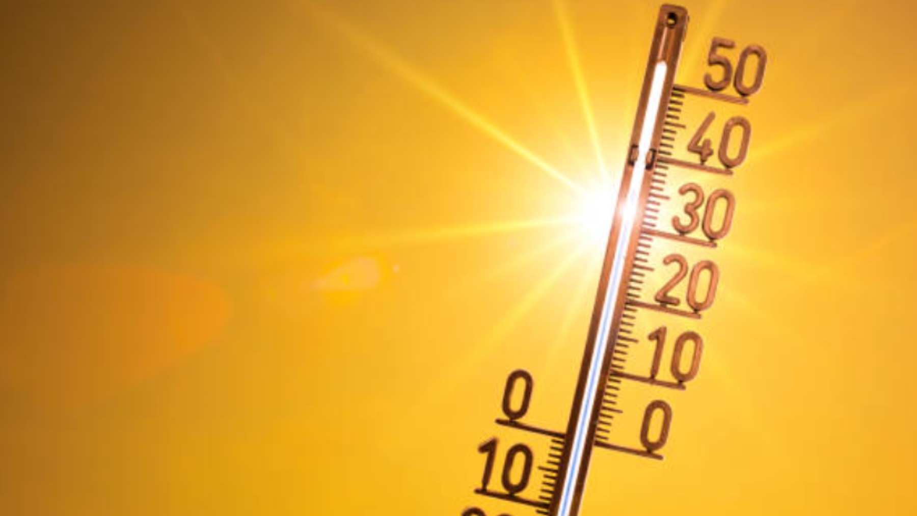 Sa Pobla, Petra y Sant Antoni alcanzan los 37 grados por la llegada de la primera ola de calor a Baleares