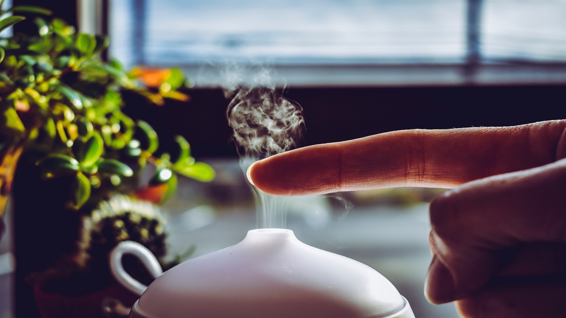 Los 10 mejores difusores de aromas del 2023