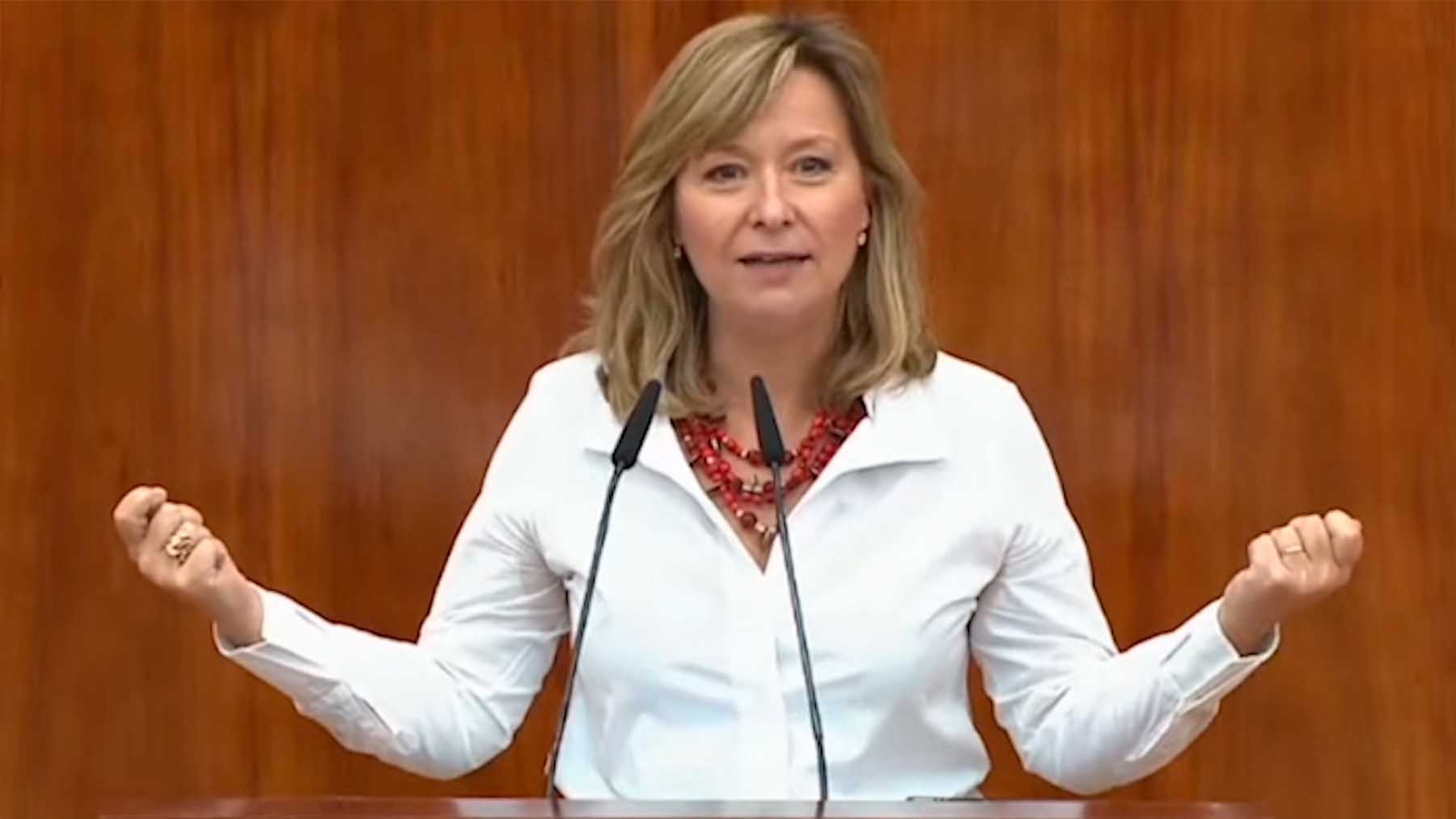 La diputada del PSOE en la Asamblea de Madrid Llanos Castellanos.