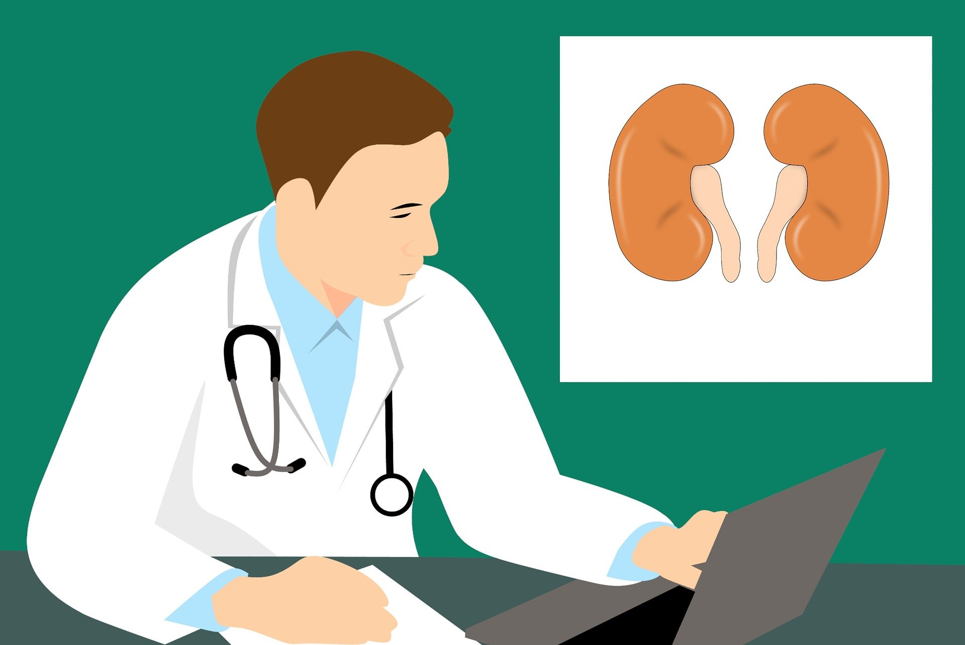 La enfermedad renal crónica tiene una prevalencia de entre el 9 y el 15%