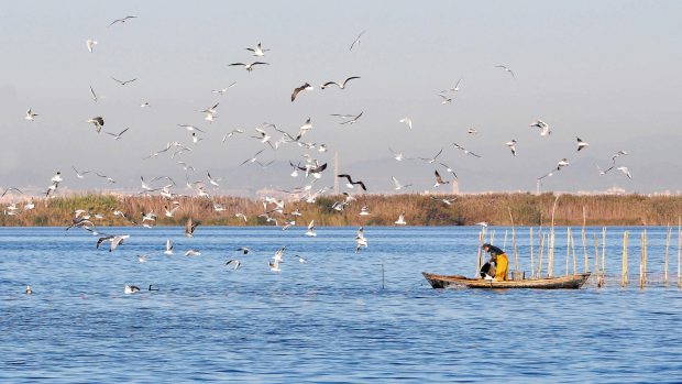 Albufera valenciana
