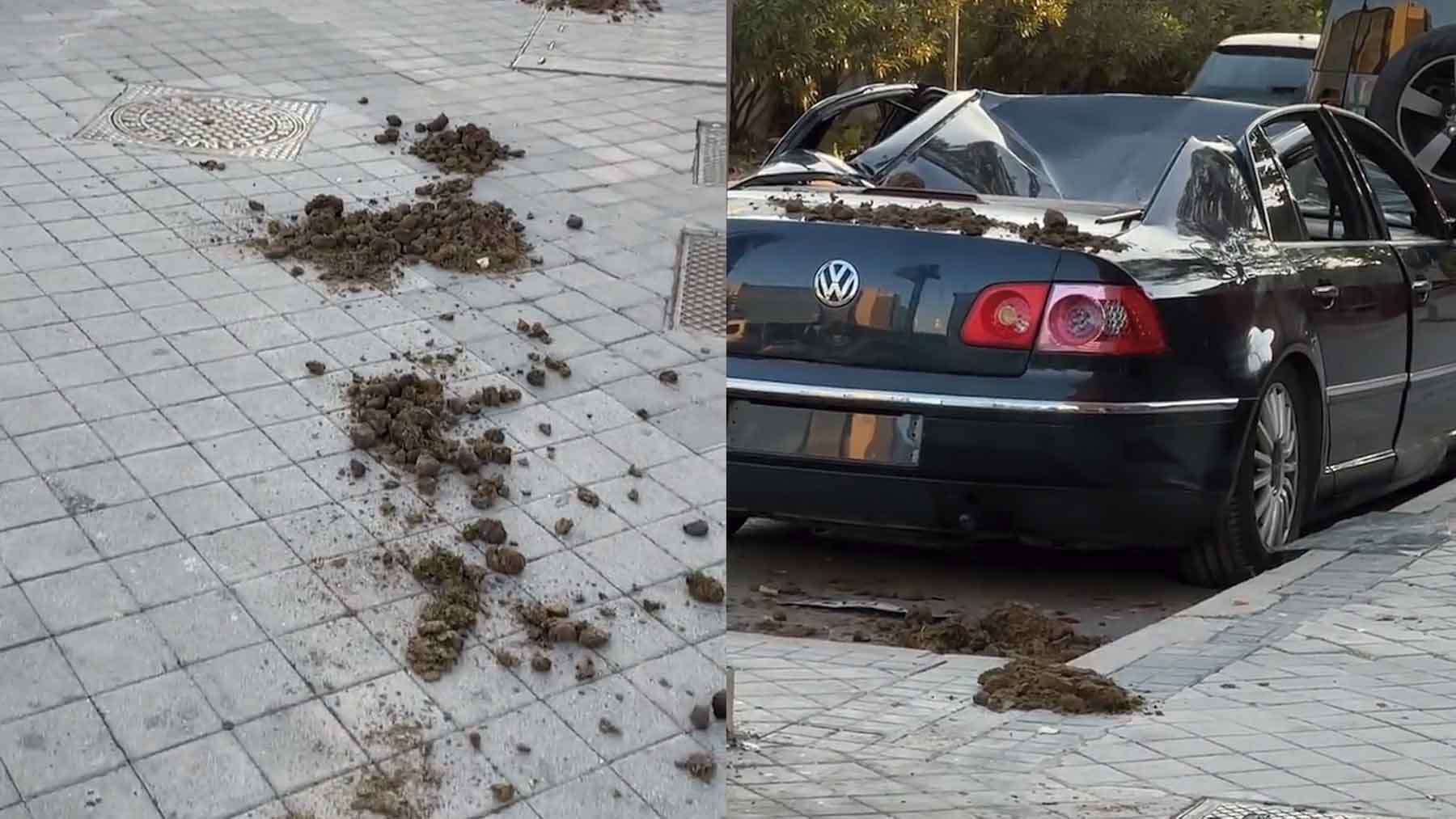 Imágenes del coche aplastado por un ‘elefante’ en Madrid.